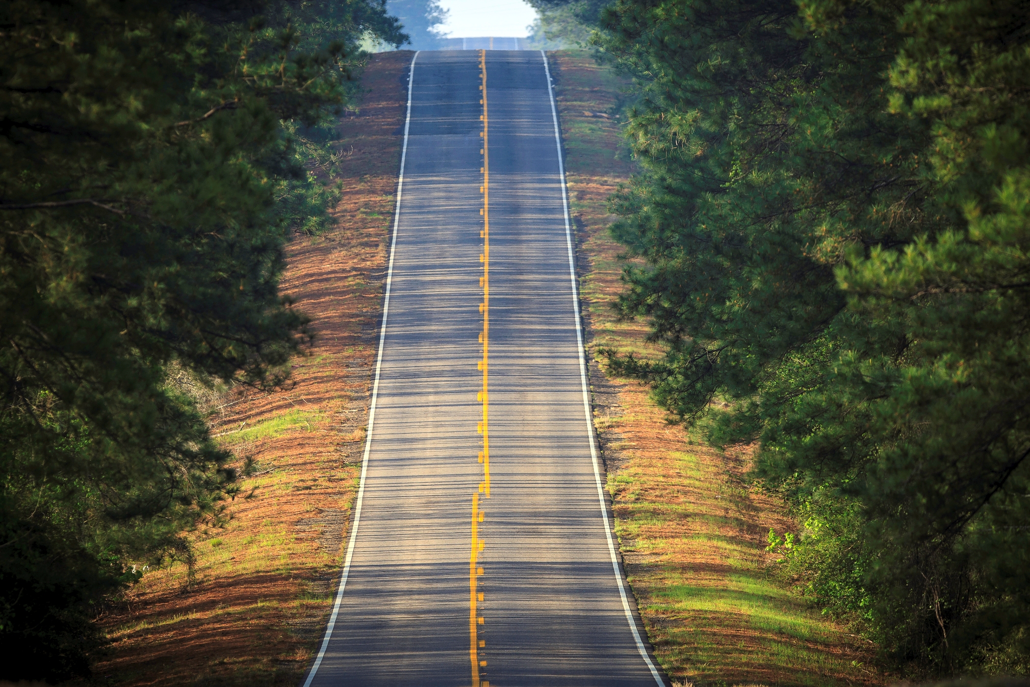 Toledo Bend Forest Scenic Byway