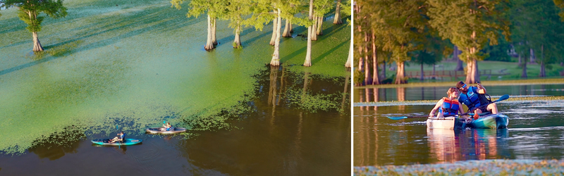 couple kayaking at toledo bend