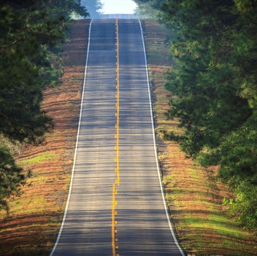 Toledo Bend Forest Scenic Byway